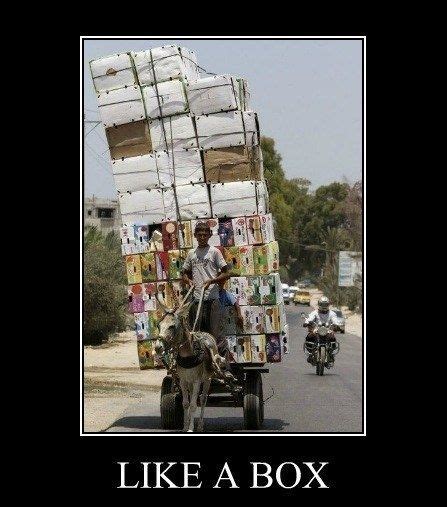 Like A Box Funny Pictures Funny Images Picture