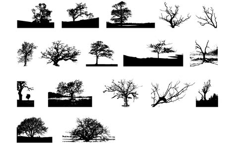 Adobe Illustrator Tree Vector Pack