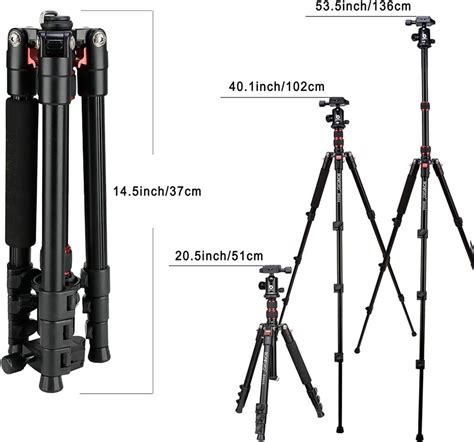 6 Best Tripods For Macro Photography Macroclick