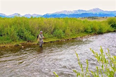Upper Arkansas River Has Its Own Charm And Own Place To Fish The