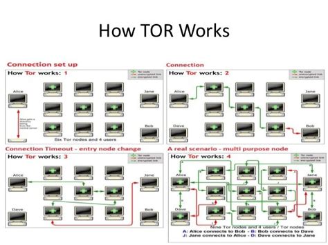 Introduction To Anonymity Network Tor