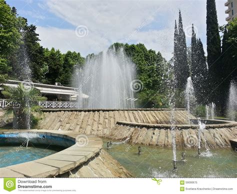 Fountains In The City Park Sochi Russia Stock Image Image Of Green