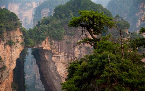 Zhangjiajie National Park Avatars Hallelujah Mountains