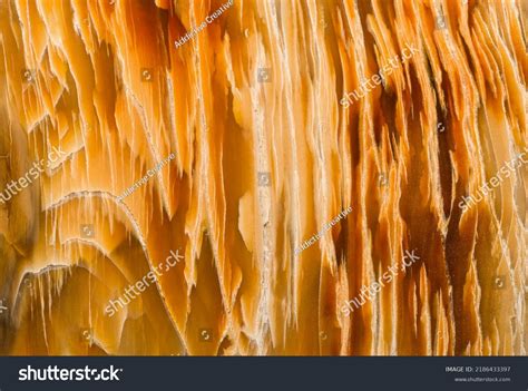 Wood Polisher Images Stock Photos Vectors Shutterstock