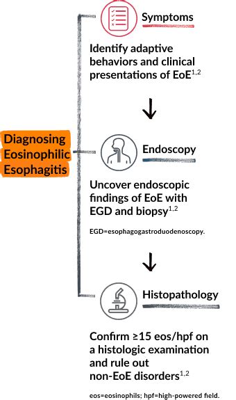 Eosinophilic Esophagitis Eoe Diagnosis And Monitoring