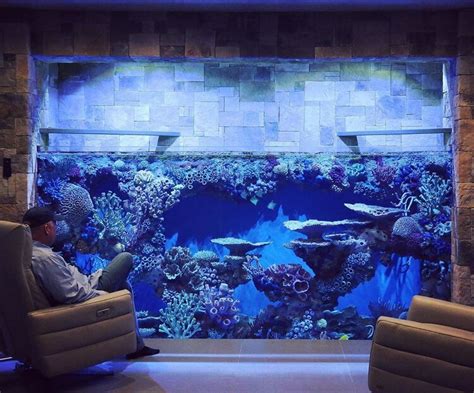 Incorporating Aquariums Into Interior Design — Redfin Aquarium Design