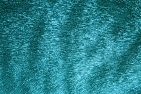 Teal Tabby Fur Texture Picture Free Photograph Photos Public Domain