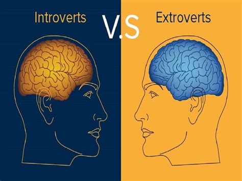 Test Are You An Introvert Or An Extrovert