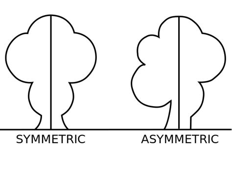 Symmetric Asymmetric Principles Of Design Symmetrical Balance