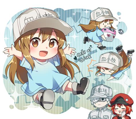 Platelet White Blood Cell Red Blood Cell Ae 3803 And U 1146