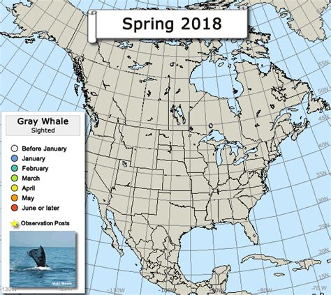 Bald Eagle Migration Routes