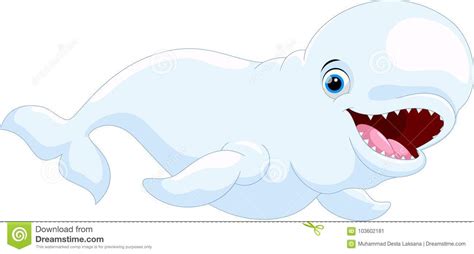 Cute Cartoon Beluga Whale Stock Illustration Illustration