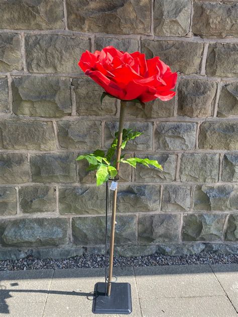 Forever Giant Single Red Rose Etsy