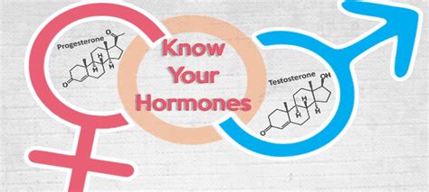 Know Your Hormones Male And Female Hormones Health Tips Blog