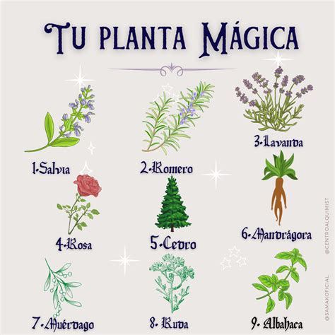 Tu Planta Mágica