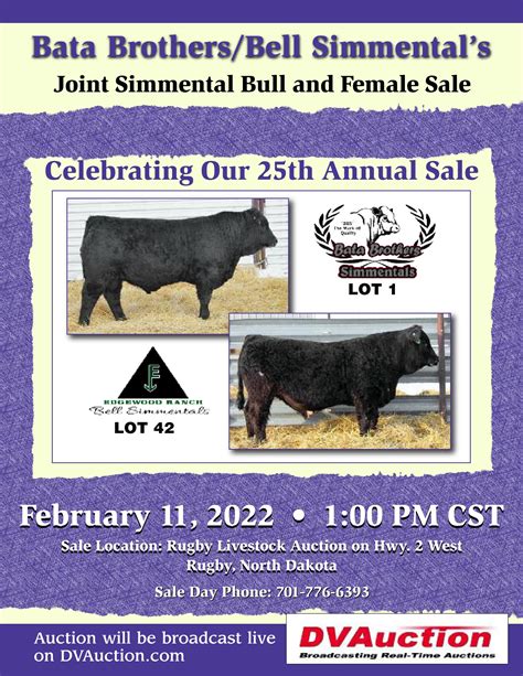 Bata Brothersbell Simmentals Joint Simmental Bull And Female Sale By