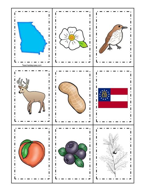 30 Georgia State Symbols Themed Learning Games Download Zip Etsy