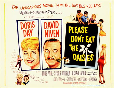 Please Dont Eat The Daisies Doris Day Photograph By Everett