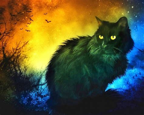 Mysterious Black Cat Desktop Nexus Wallpapers Black Cat Art Cats