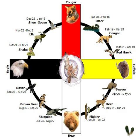 Sundance Animal Medicine Wheel Not A Traditional Native American