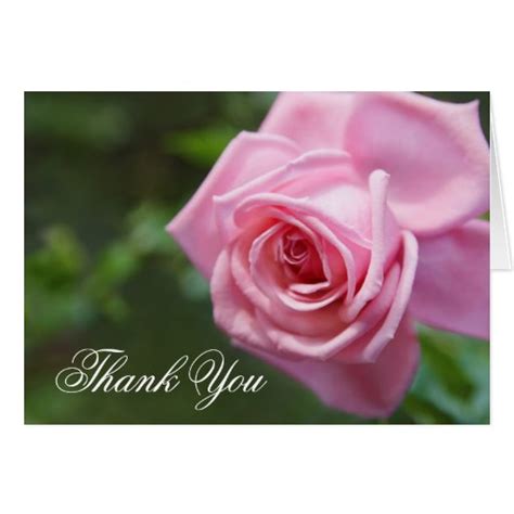 Thank You Greeting Card With Beautiful Pink Rose Zazzle