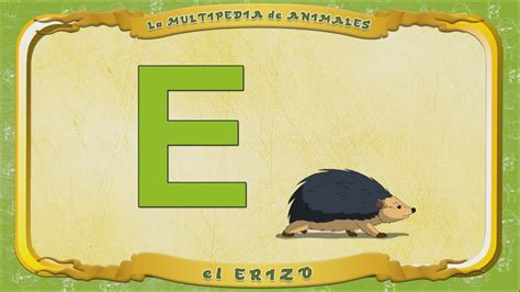 Multipedia De Los Animales Letra E El Erizo Youtube