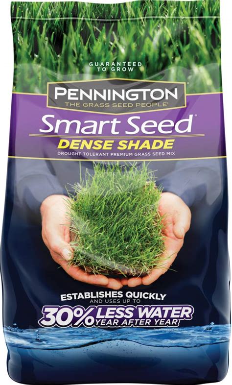 Buy Pennington Smart Seed Dense Shade Grass Seed 7 Lb Online At