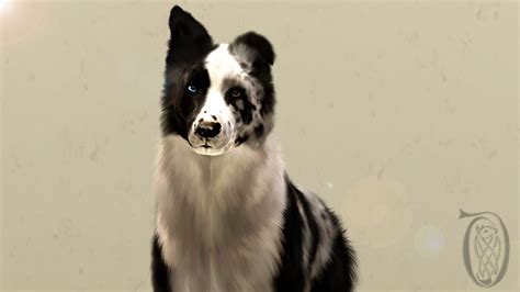 Sims 3 Dog Markings Lasoparepublic
