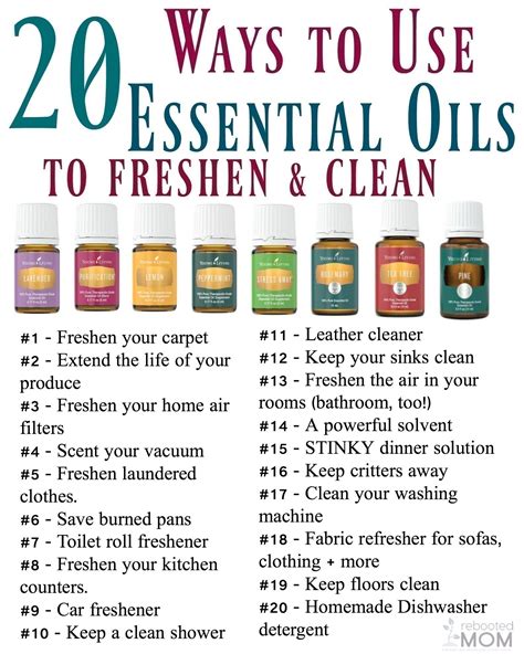 Can You Put Essential Oils In Your Carpet Shampooer Resnooze Com