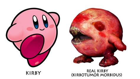 Cartoon Vs Real Kirby Kirby Know Your Meme