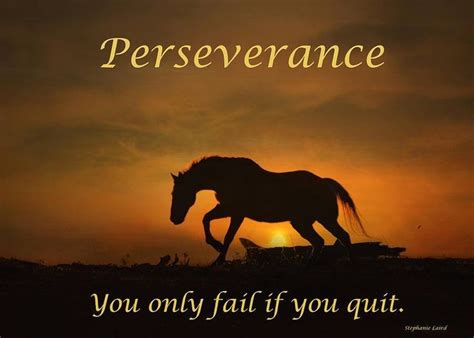 Pin By Tami Crawford On Quotes Horse Posters Inspirational Horse