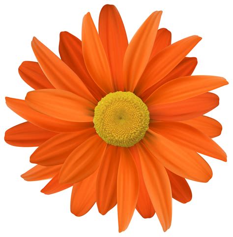 Clip Art Orange Flowers 20 Free Cliparts Download Images On