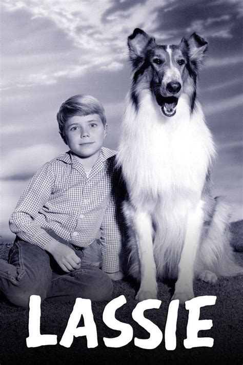 Lassie Wróć