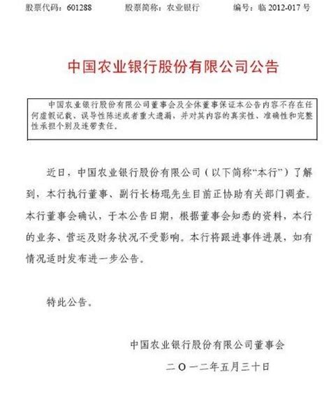 农行副行长杨琨正协助调查 或与一京城企业有关新闻台中国网络电视台