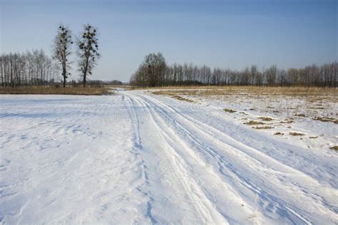 Dirt Road Covered With Snow And Trees On The Horizon Stock Image