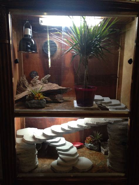 My Bearded Dragon Cage Made From A Broken Dresser Bearded Dragon
