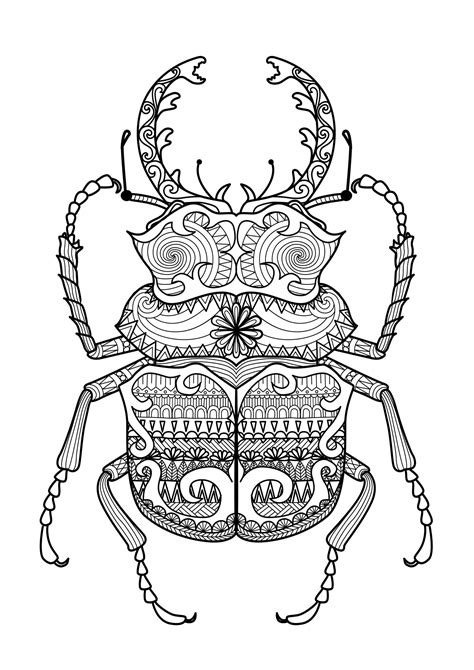 Free Coloring Page Coloring Zentangle Beetle By Bimdeedee Zentangle