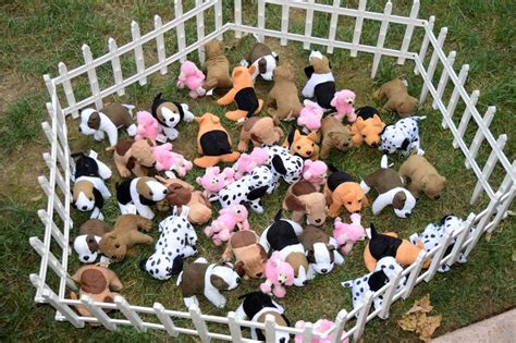 Puppy Pen Stuffed Puppies From Oriental Trading Plastic Gates From