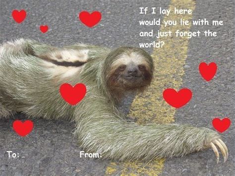 Sloth Valentine Funny Animal Pictures Dumb Dumber Creepy Sloth