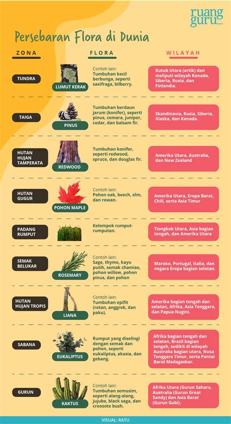 Persebaran Flora Di Indonesia Bagian Barat – Ilmu