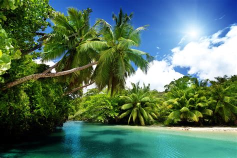 Paradise Wallpapers Top Free Paradise Backgrounds Wallpaperaccess