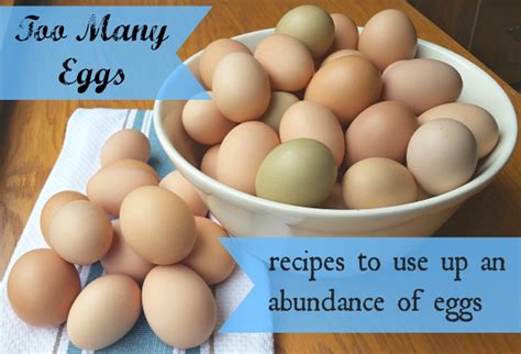 Get the recipe at the pioneer woman. Recipes That Use Up A Lot of Eggs (Bonus Pudding Recipe ...