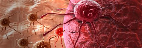 California Biologists Find Cancer Drug That Makes Cells Self Destruct