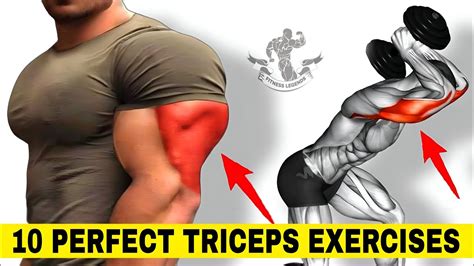 PERFECT TRICEPS EXERCISES Big Triceps Workout At Gym Tricep Exercises At Gym BigArm