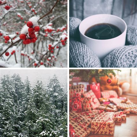 10 Best Free Stock Photos For Winter Rosecomm
