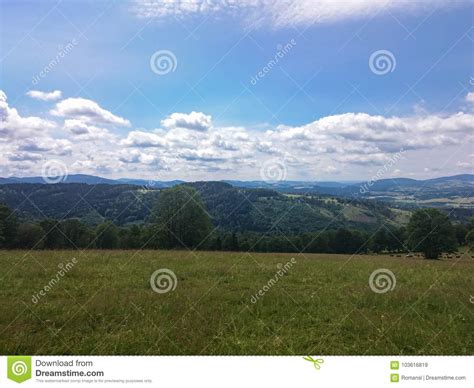 Summer Landscape Of Young Green Forest With Bright Blue