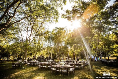 San diego landscape contractors and design experts. Backyard Wedding Venues: Turn Property into a Venue ...