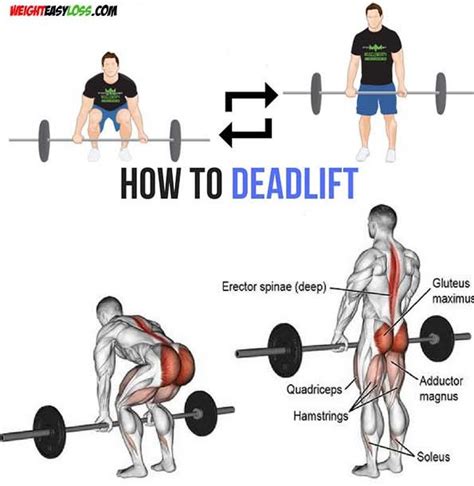 Deadlift Proper Form Video And Guide