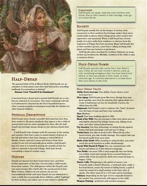 D And D 5e Character Builder Dryaid Malepase