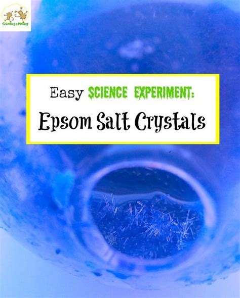 Make Breathtaking Epsom Salt Crystals Overnight Easy Science